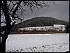 Pohled na Malý Blaník od Býkovic.